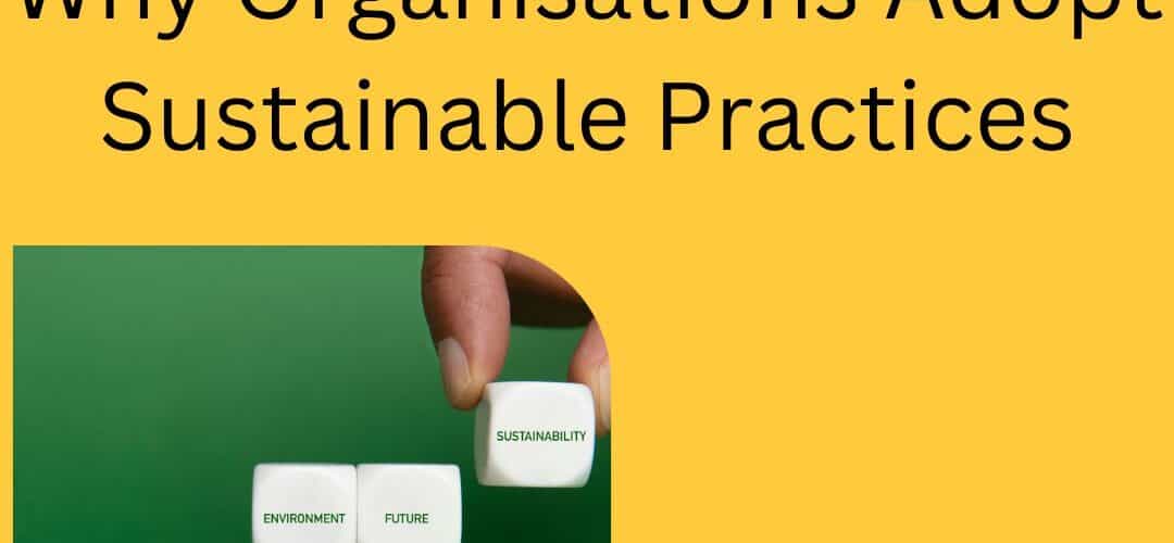 Why organisations adopt sustainable Practices, Scrabble pieces