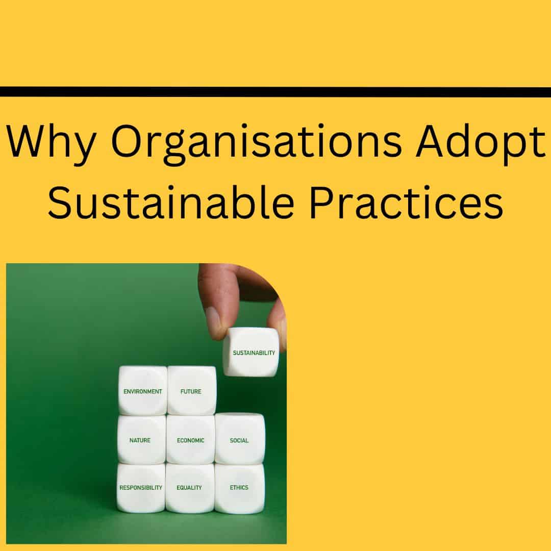 Why organisations adopt sustainable Practices, Scrabble pieces